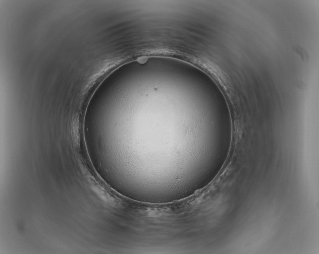 X0000111010345200906191616