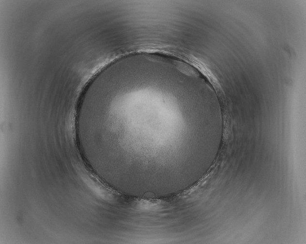X0000111010346200906191616