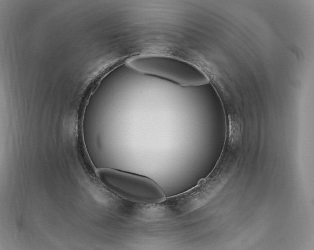 X0000111010348200906191616