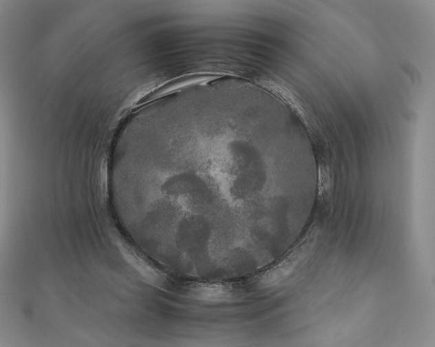 X0000111010349200906191616