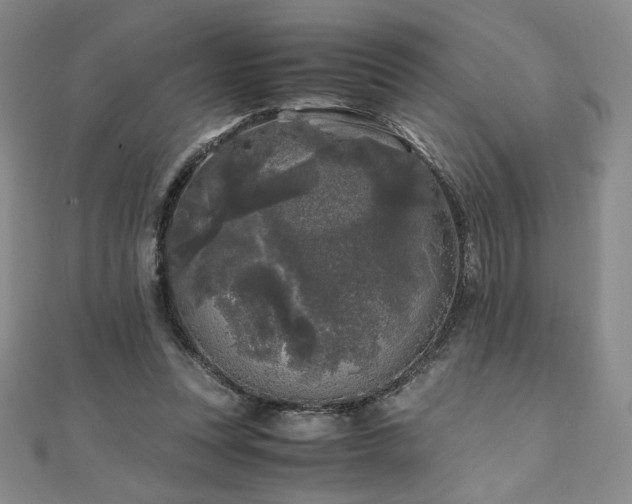 X0000111010351200906191616
