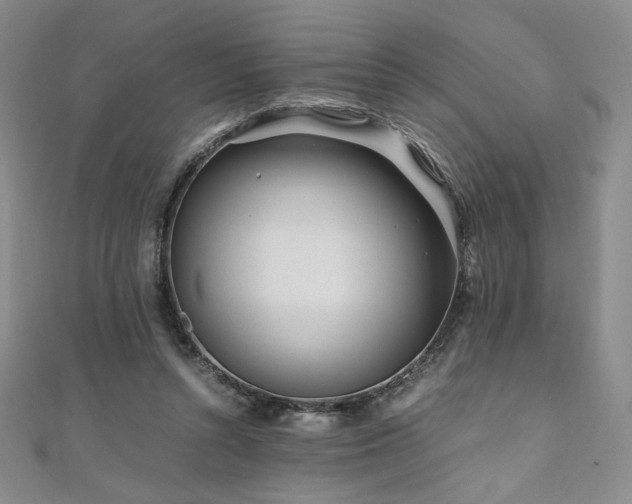 X0000111010352200906191616