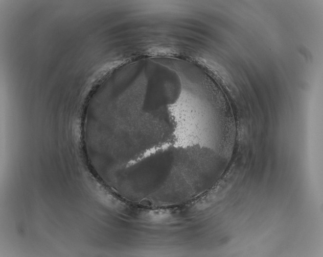 X0000111010353200906191616