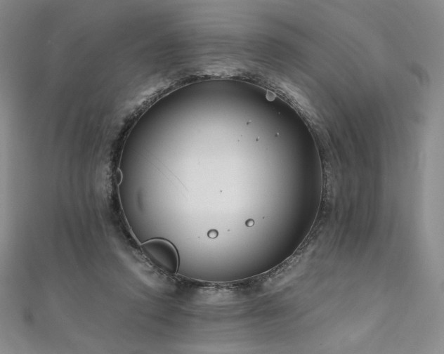 X0000111010354200906191616