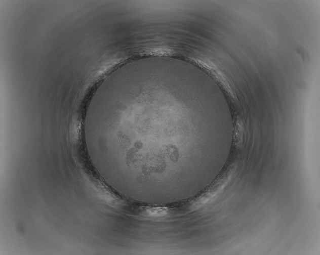 X0000111010355200906191616