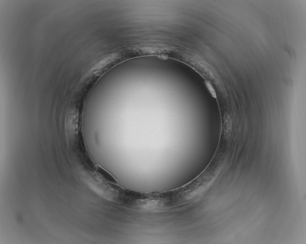 X0000111010356200906191616