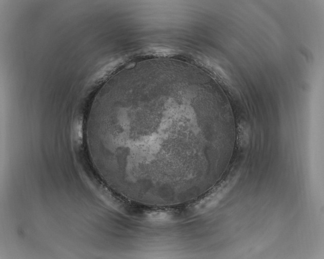 X0000111010358200906191616