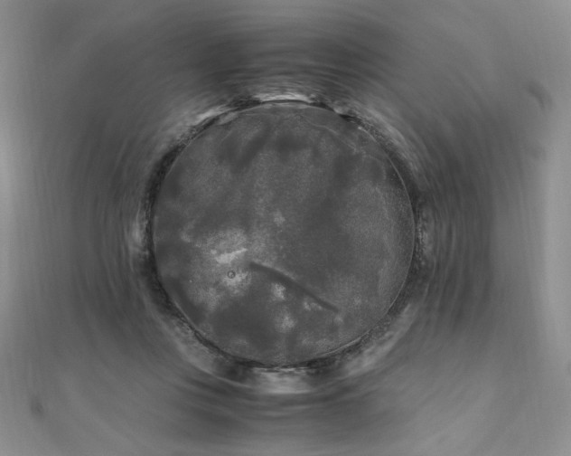 X0000111010359200906191616