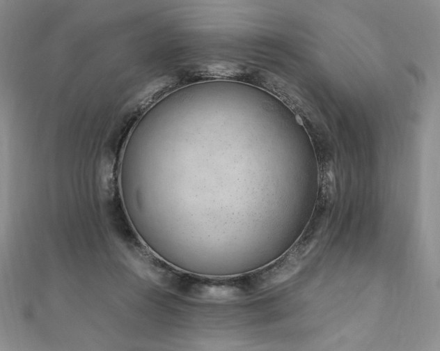 X0000111010360200906191616