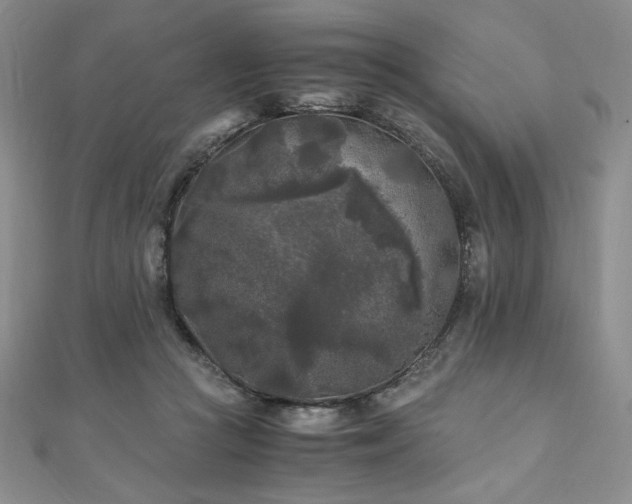 X0000111010361200906191616