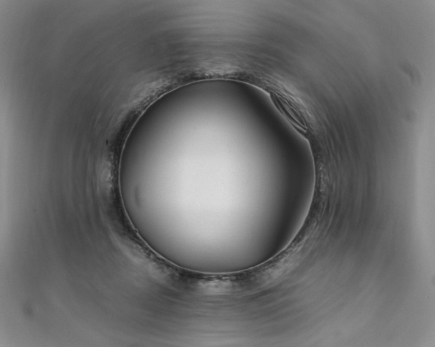 X0000111010362200906191616