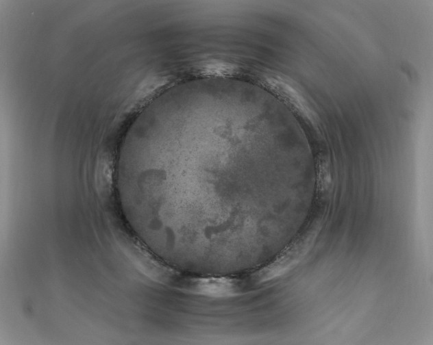 X0000111010363200906191616