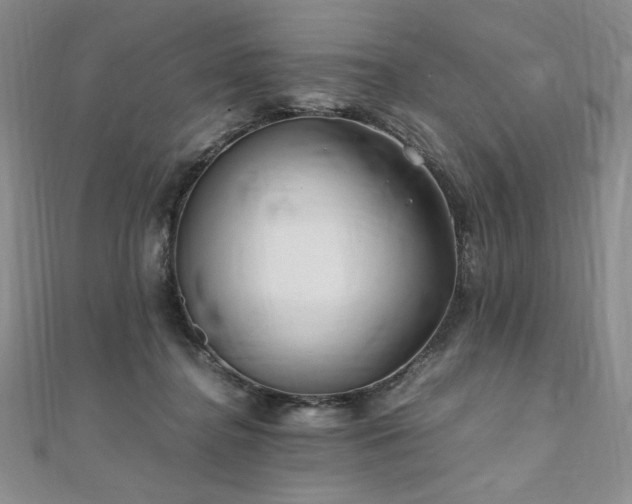 X0000111010364200906191616