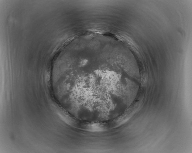 X0000111010365200906191616