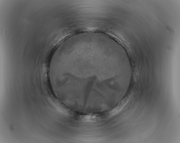 X0000111010366200906191616