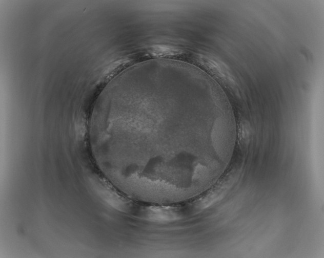 X0000111010367200906191616
