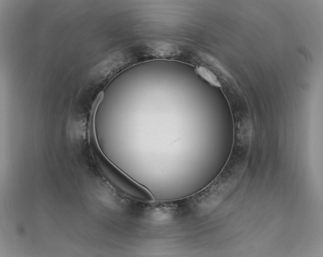 X0000111010368200906191616