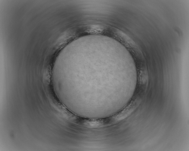 X0000111010370200906191616