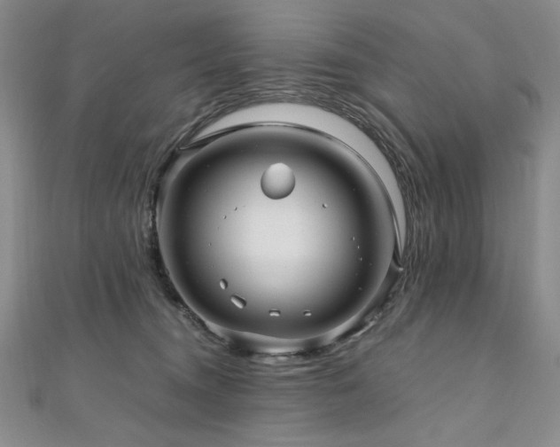 X0000111010372200906191617