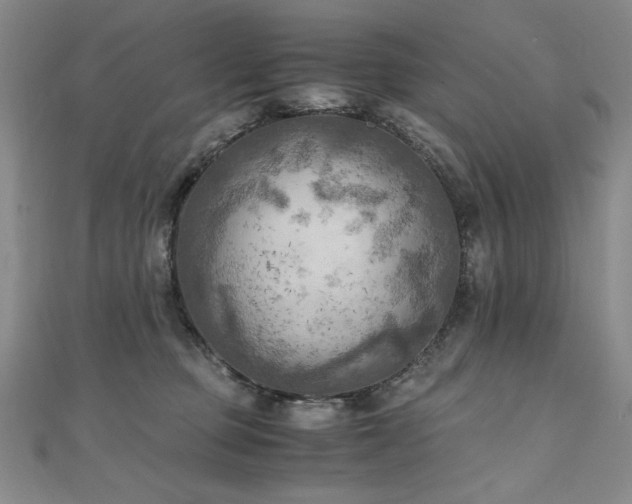 X0000111010373200906191617