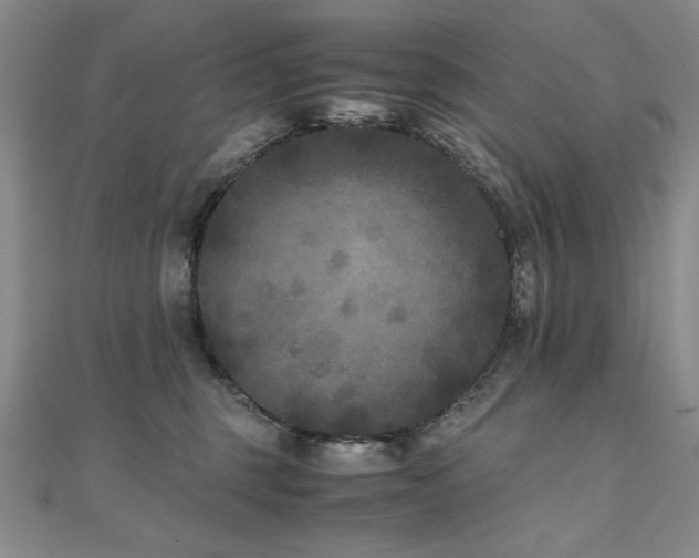 X0000111010375200906191617