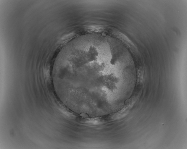 X0000111010377200906191617