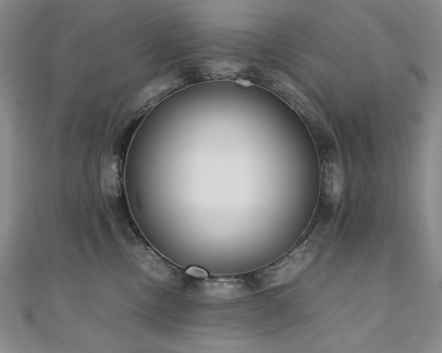 X0000111010378200906191617