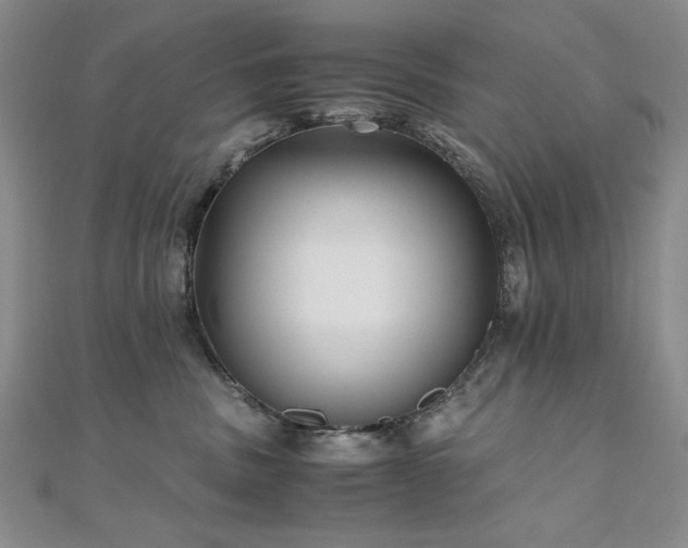 X0000111010379200906191617