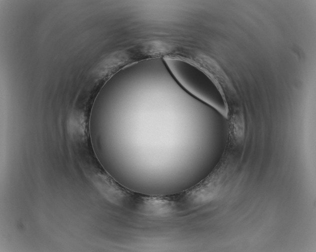 X0000111010380200906191617