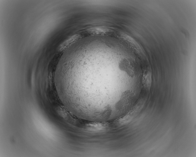 X0000111010381200906191617