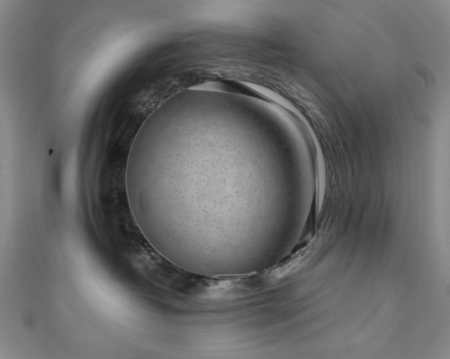 X0000111010382200906191617