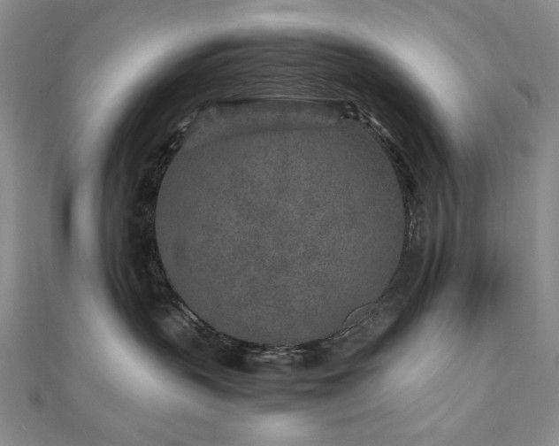 X0000111010383200906191617