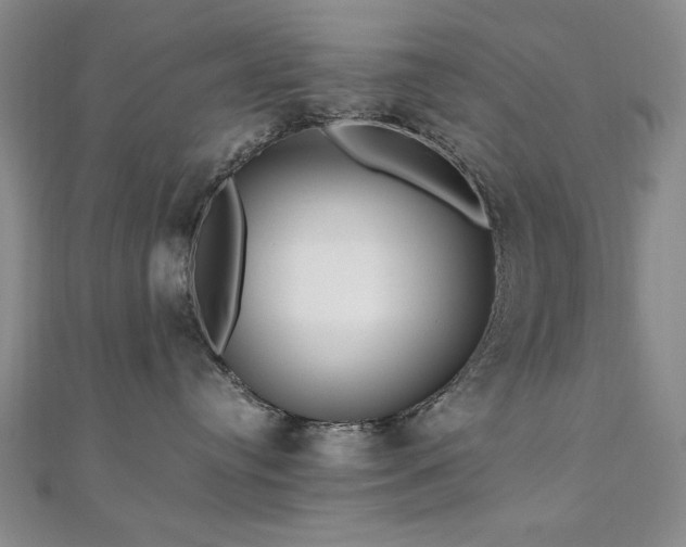 X0000111010384200906191617