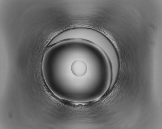 X0000111010385200906191616