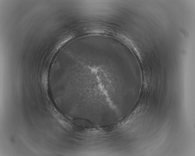 X0000111010386200906191616