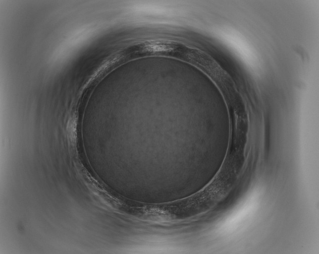 X0000111010387200906191616