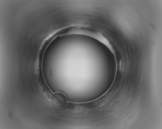 X0000111010388200906191616
