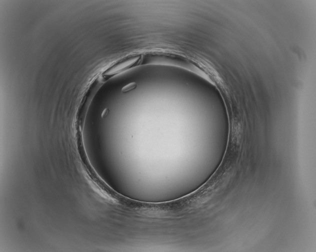 X0000111010389200906191616