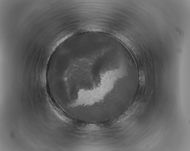 X0000111010390200906191616