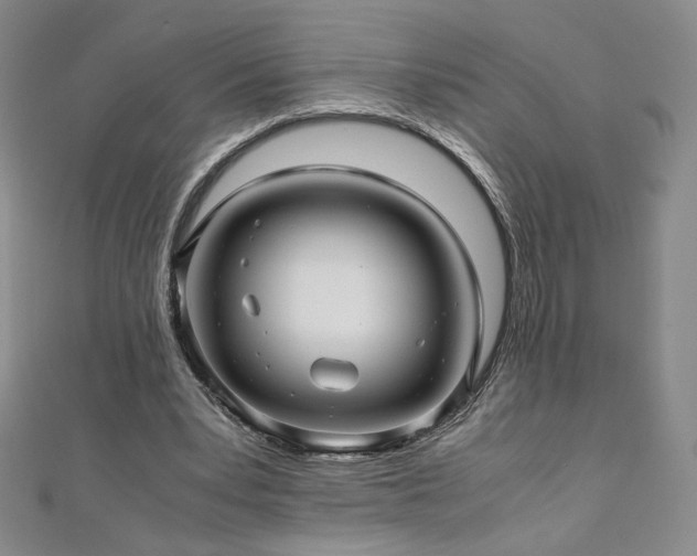 X0000111010391200906191616
