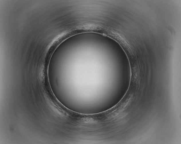 X0000111010392200906191616