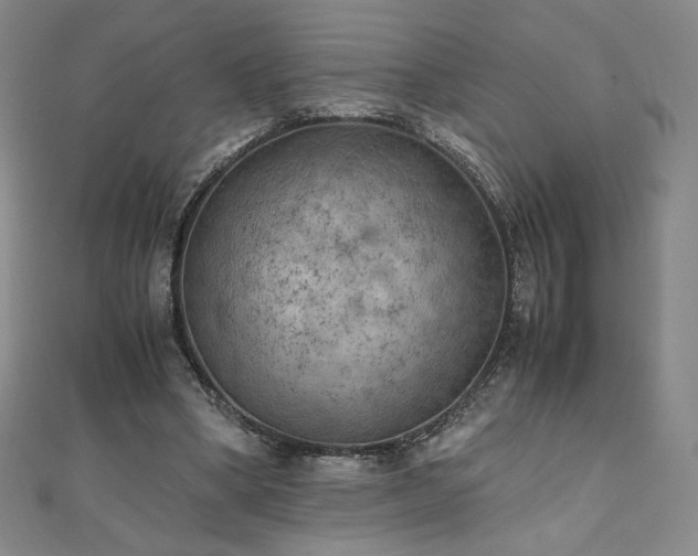 X0000111010394200906191616