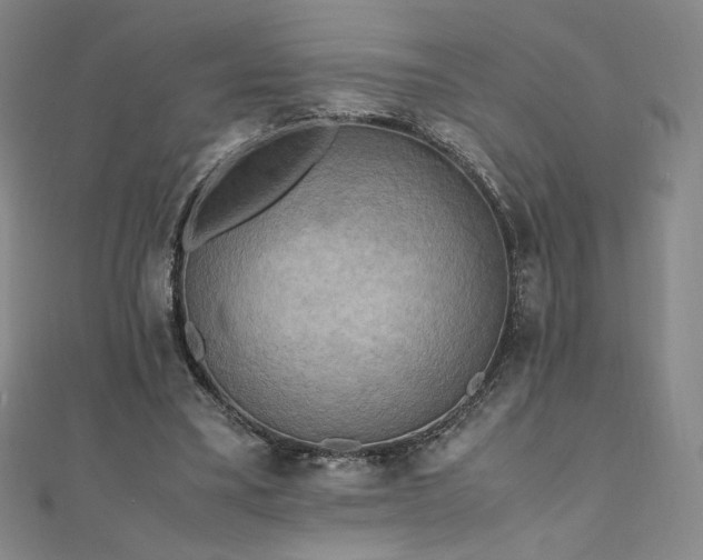 X0000111010395200906191616