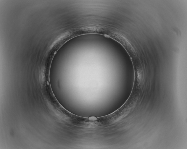 X0000111010396200906191616