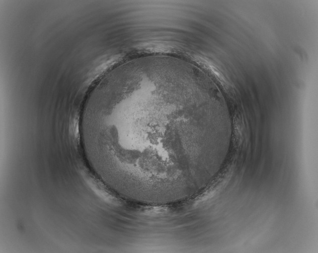 X0000111010398200906191616