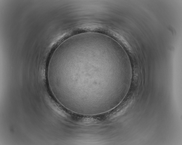 X0000111010399200906191616