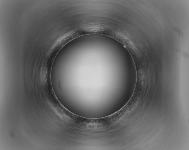 X0000111010400200906191616
