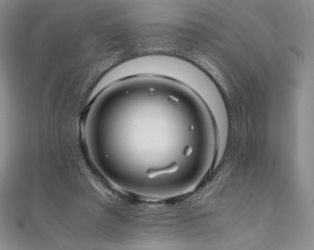 X0000111010401200906191616