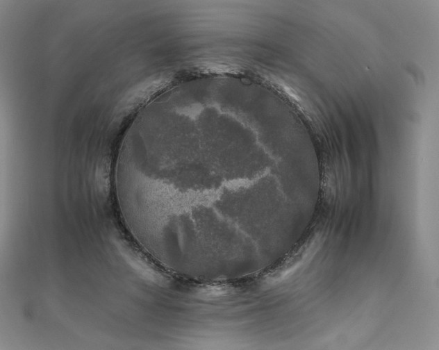 X0000111010402200906191616