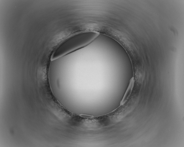 X0000111010403200906191616